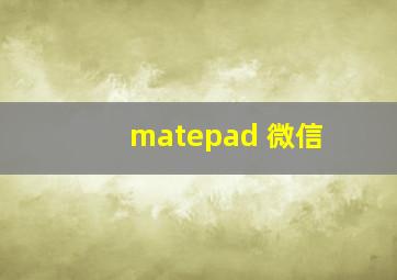 matepad 微信